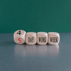 5 Day working 