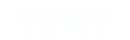 Customer Think