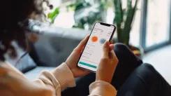 Develop an Insurance App Like Lemonade