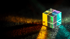 Resources & Insights