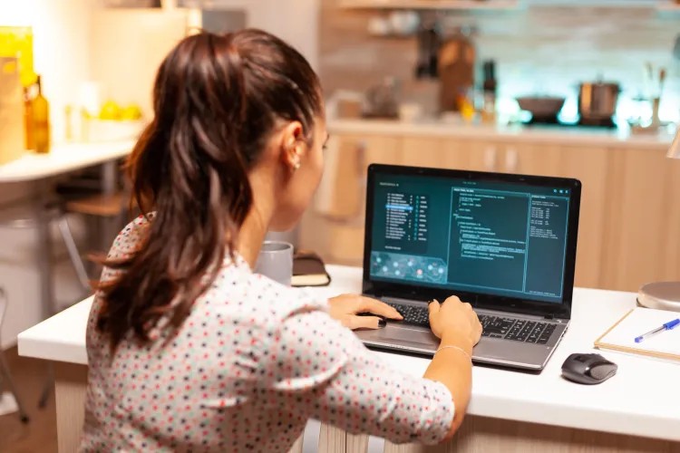 Software Testing